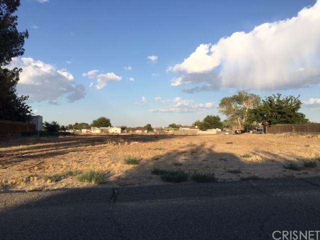 0 174th St. East And Ave N-4 - Photo 1