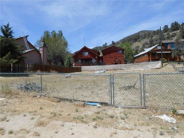 6933 Frazier Mountain Park Road - Photo 1