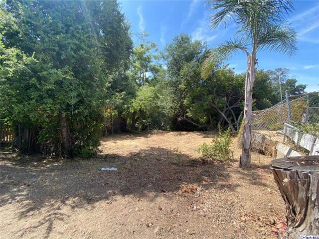 11167 Tujunga Canyon Boulevard - Photo 1