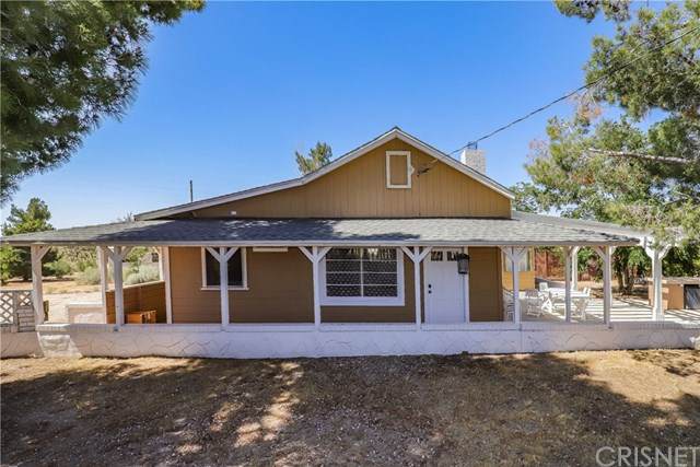 21123 Fort Tejon Road - Photo 1