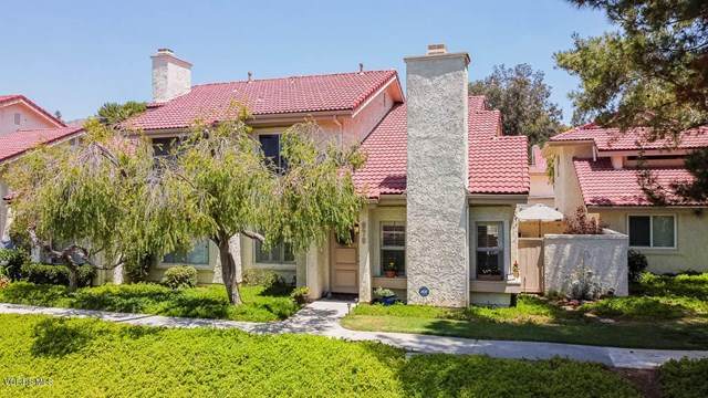 979 Quarterhorse Lane - Photo 1