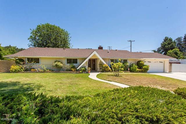 1090 Camino Flores - Photo 1