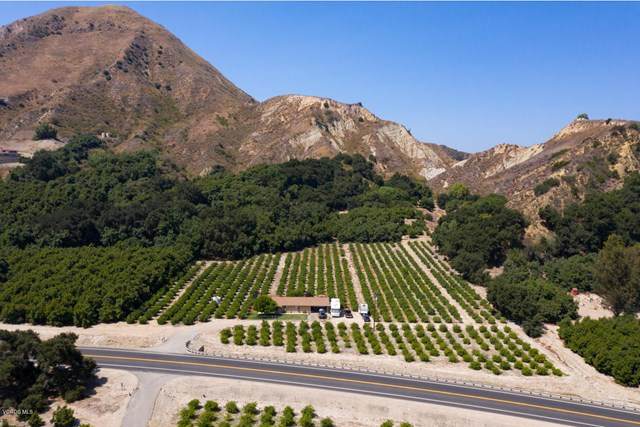1971 Grimes Canyon Road - Photo 1