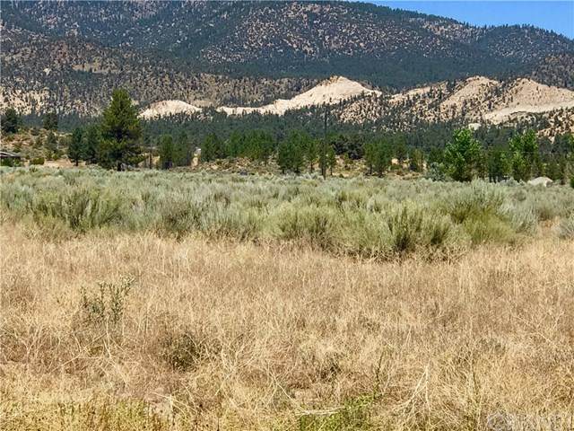 0 Lockwood Valley Rd - Photo 1