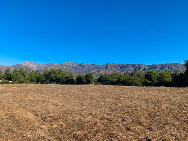 12251 Linda Flora Drive - Photo 1