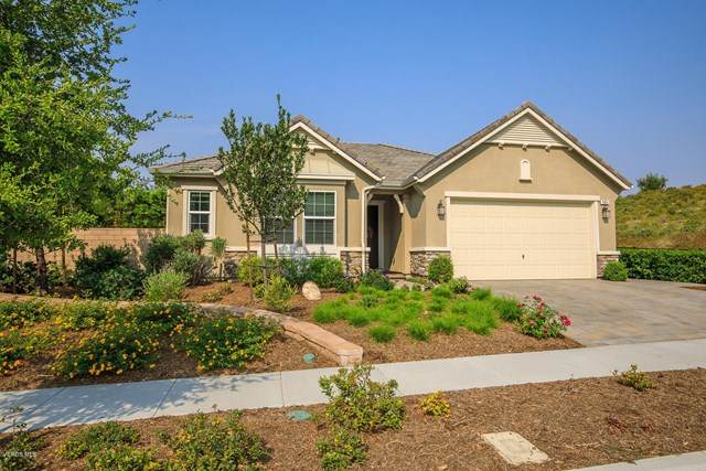 481 White Bark Lane - Photo 1