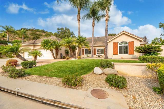 6428 Armitos Drive - Photo 1