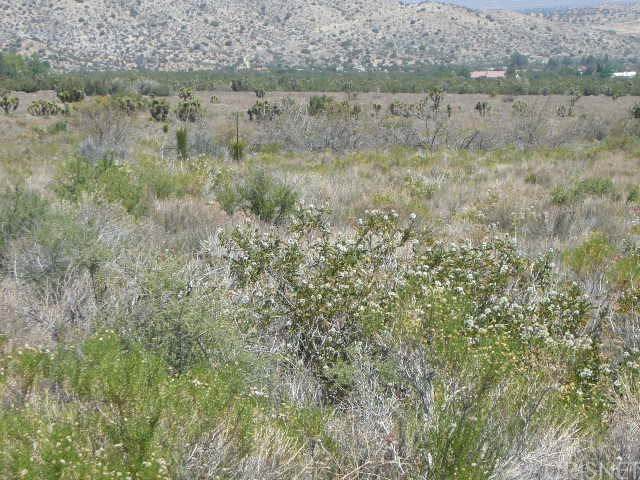 0 Vac/Juniper Hills Rd/Vic 121 S - Photo 1