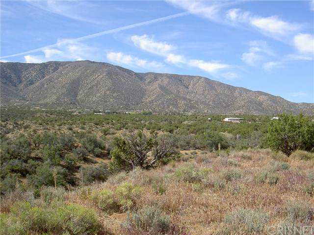 0 Vac/Vic Rainbow Acres Rd/106 S - Photo 1