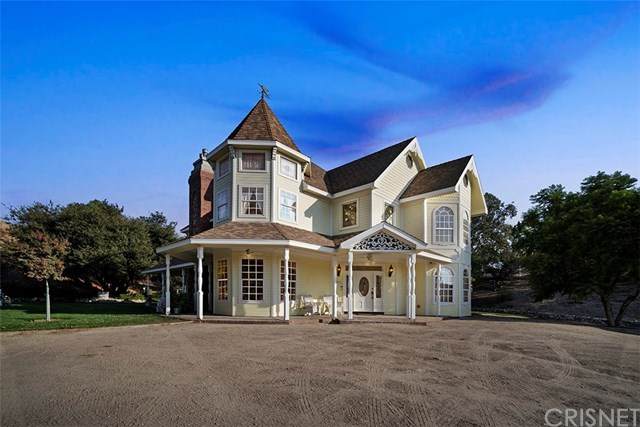 28250 Oak Spring Canyon Road - Photo 1