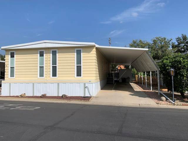 46 Don Antonio Way - Photo 1