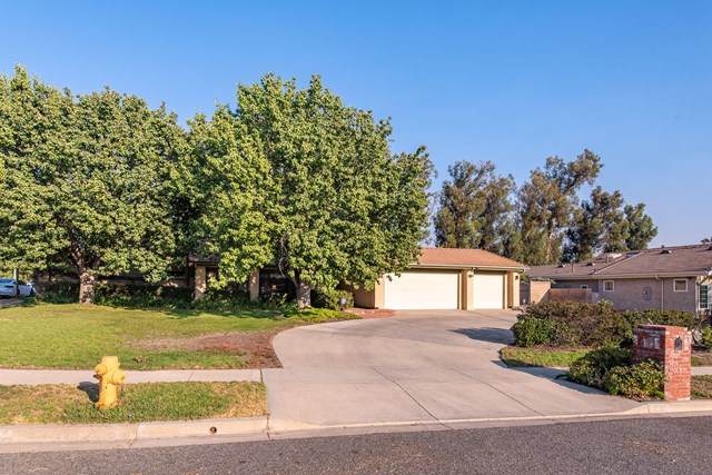 3130 Bianca Circle - Photo 1