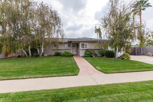 730 Kitty Street - Photo 1