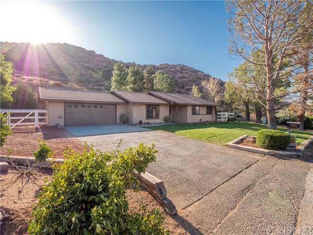 33738 White Feather Road - Photo 1