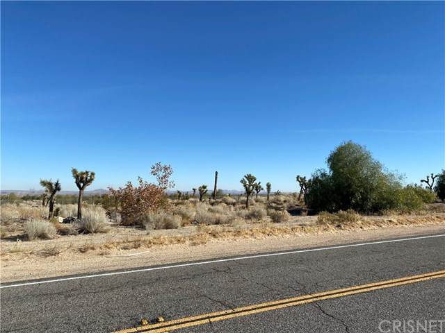 0 Fort Tejon And 94th St E - Photo 1
