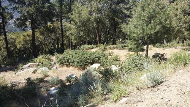 1704 Zermatt Drive - Photo 1