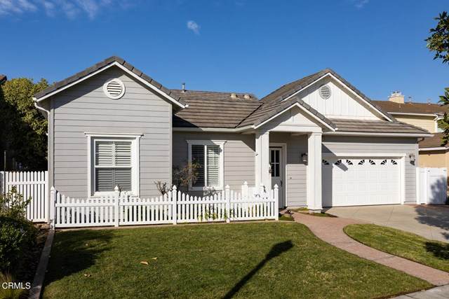 2031 Shadow Creek Drive - Photo 1