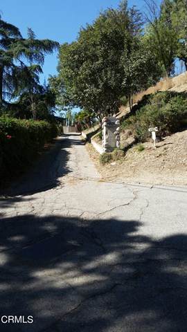 9929 Shadow Hills Drive - Photo 1