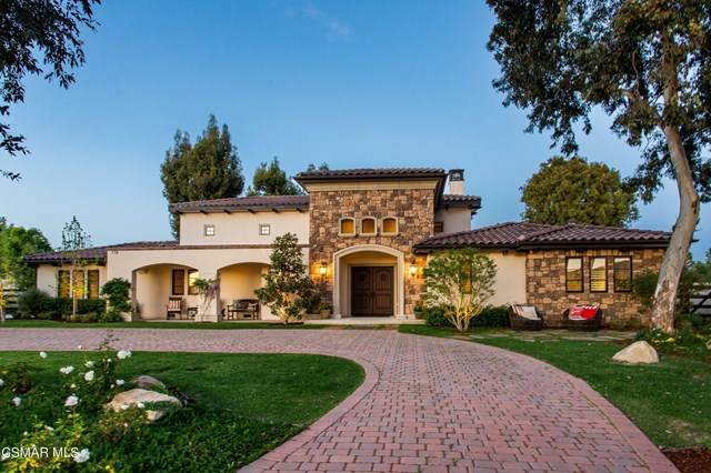 738 Camino Durango - Photo 1