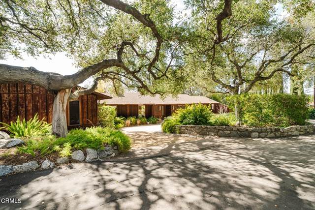 5050 Hook Tree Road - Photo 1
