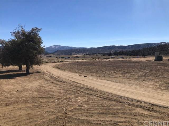 16299 Mountain Lilac - Photo 1