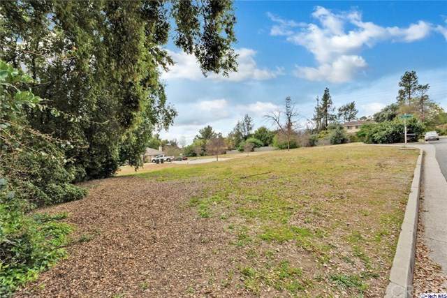 0 Olive Court - Photo 1