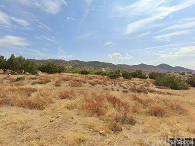 0 Vac/Cor Thomas Rd/Penman Road - Photo 1