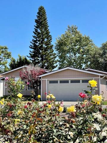 410 Dewberry Ln. - Photo 1