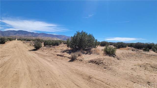 126 Vac/126Th Ste/Fort Tejon Rd Road - Photo 1