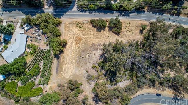24577 Mulholland - Photo 1