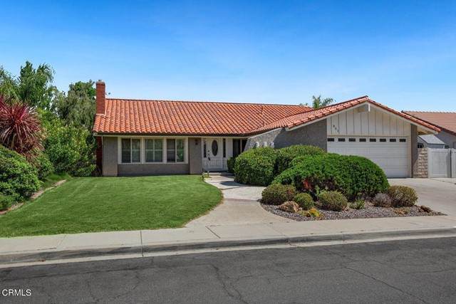 801 Pamela Wood Street - Photo 1
