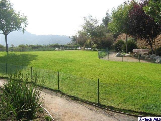 0 Calle Bella - Photo 1