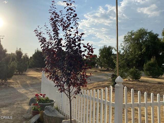 30925 French Valley Road - Photo 1