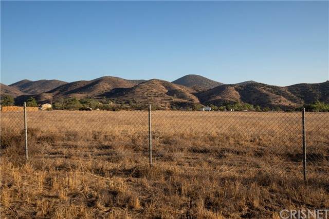 99999 Vac/Vic Sierra Hwy/Anthony Road - Photo 1