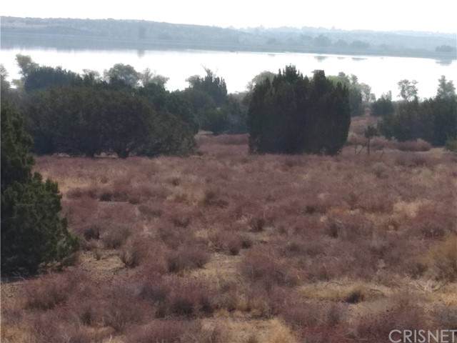 0 Vac/Calle Grillo/Vic Avenue - Photo 1