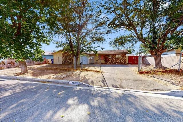 45421 Raysack Avenue - Photo 1