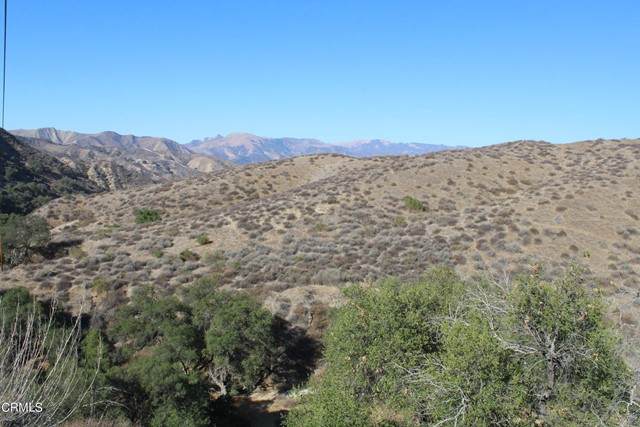 31029 Hasley Canyon Road - Photo 1