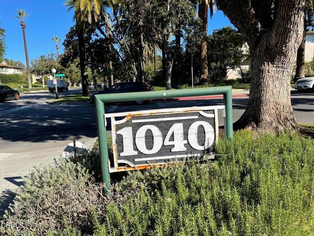 1040 Orange Grove Boulevard - Photo 1