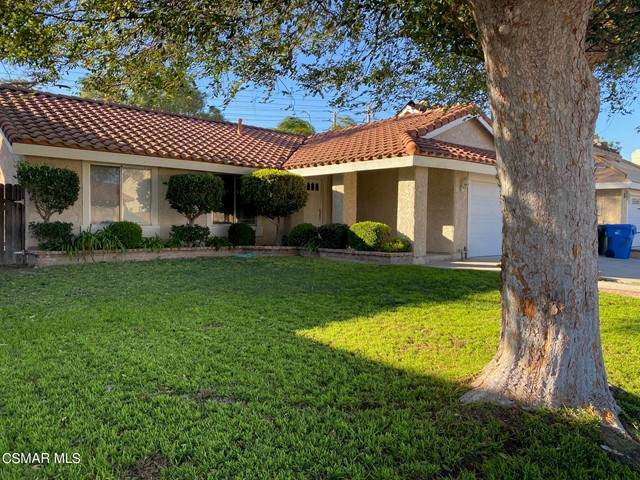 4811 Avedon Road - Photo 1