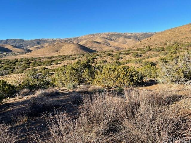 0 Vac/Cor Thomas Rd/Tierra Dulce - Photo 1
