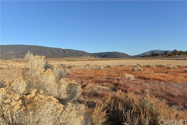 16604 Lockwood Valley Road - Photo 1
