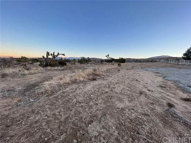 52 Vac/52Nd Ste/Vic Nilgon Street - Photo 1