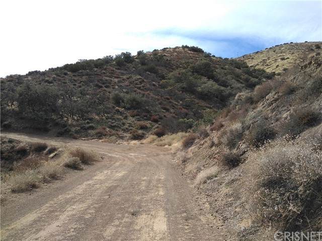 0 Tierra Subida Ave - Photo 1