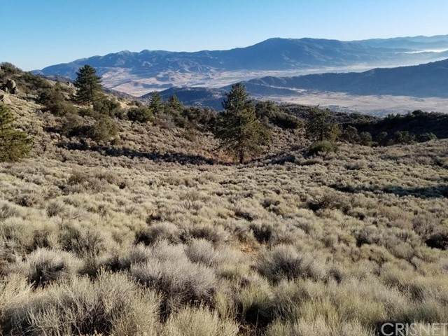 25400 Paramount Drive - Photo 1