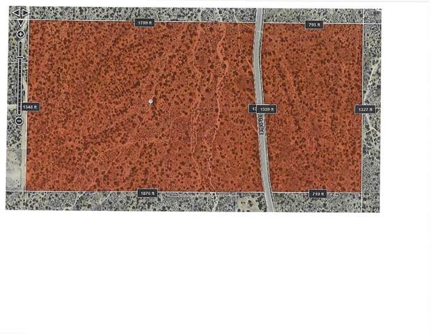 0 Vac/Longview Rd/Vic Avenue Y - Photo 1