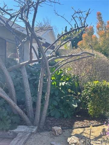 24324 Hartland Street - Photo 1