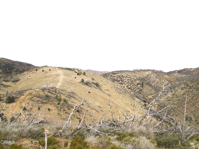 0 Oak Creek Road - Photo 1