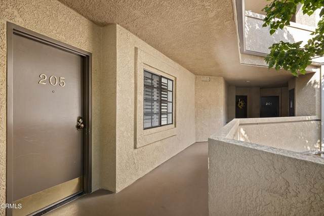 221 Oak Knoll Avenue - Photo 1