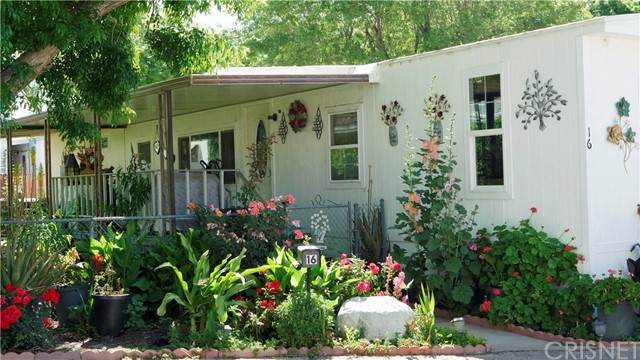16274 Vasquez Canyon Road - Photo 1
