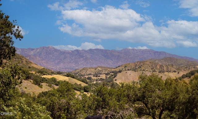 11065 Creek Road - Photo 1